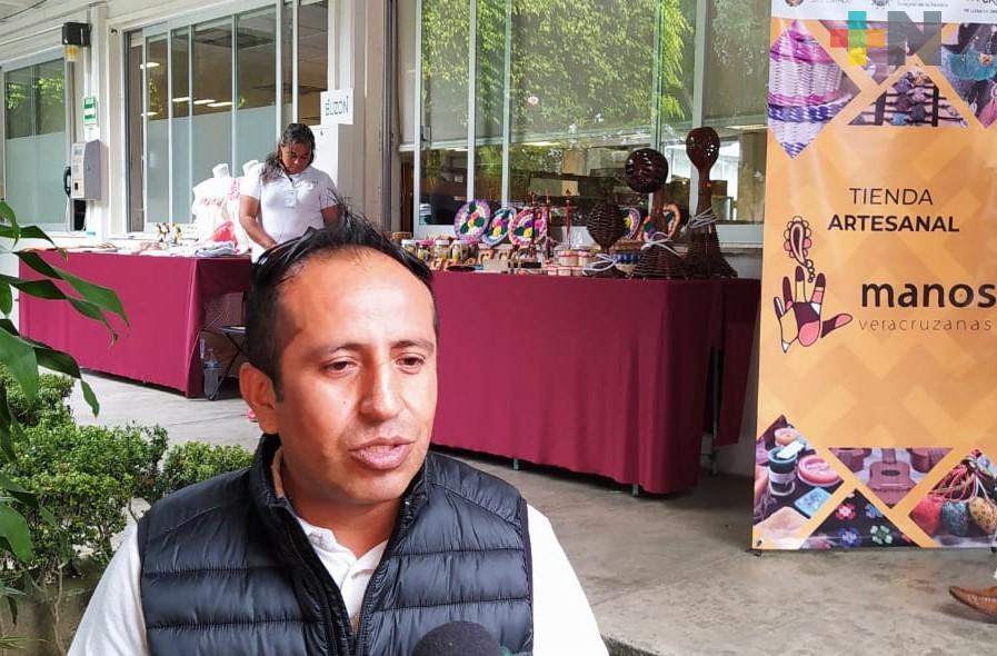 Manos Veracruzanas expondrá en pasillos del palacio municipal de Xalapa este fin de semana