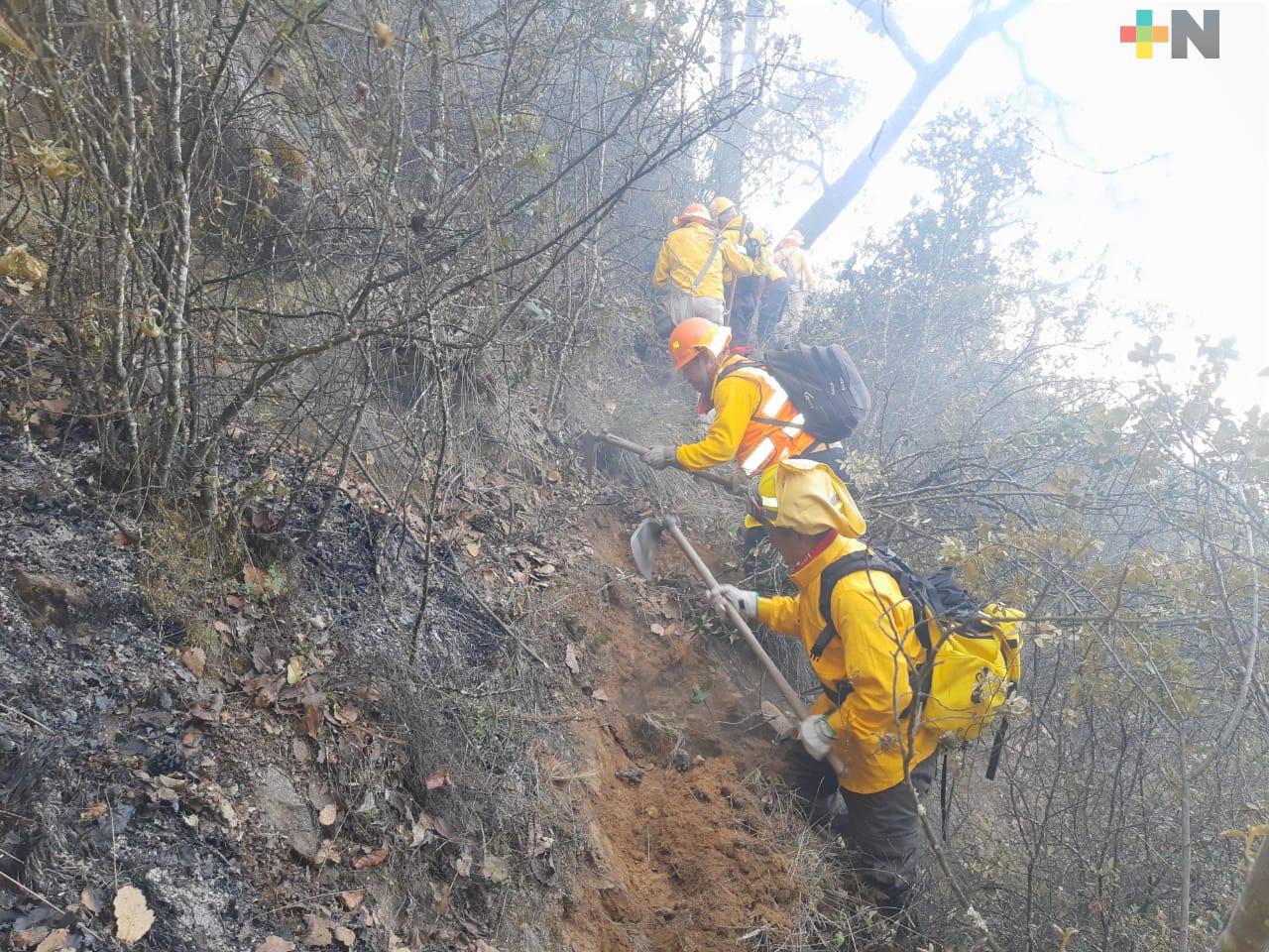 90 por ciento de control del incendio forestal en La Gloria, Perote
