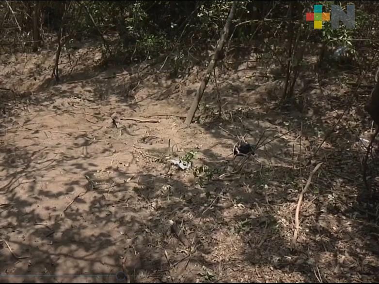 Halla Colectivo Solecito cerca de mil fragmentos de huesos y un cuerpo en comunidad de Alvarado