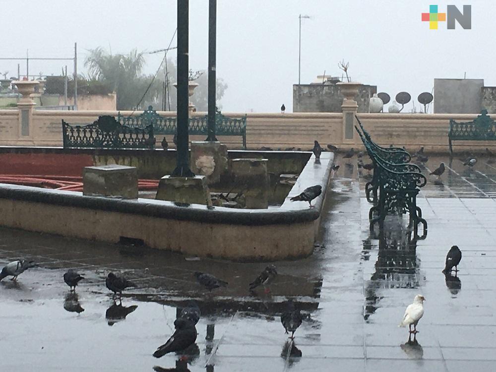 Cielo nublado en la entidad veracruzana; continúan lluvias