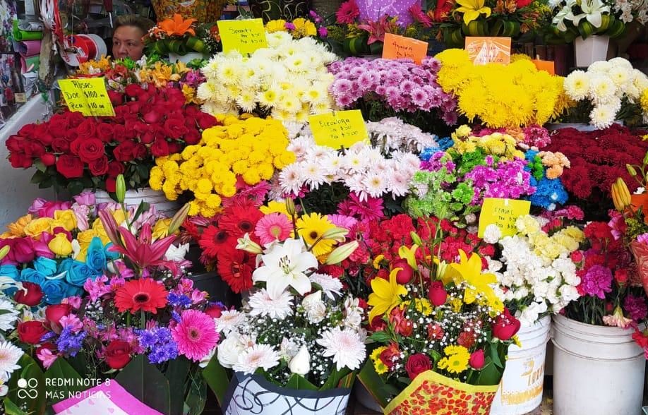 Esperan viveristas de Doña Falla aumentar ventas en primavera