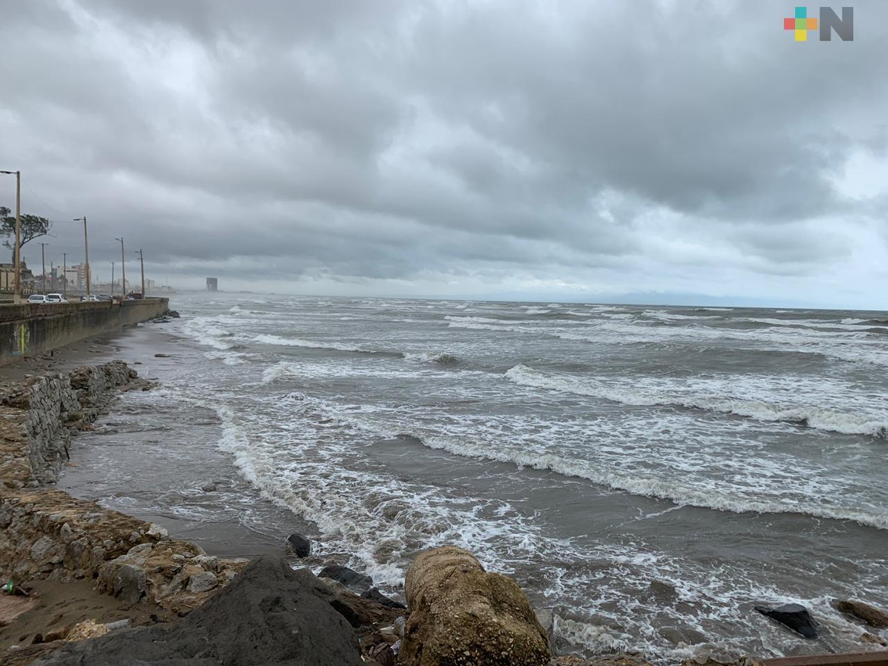 Ambiente caluroso; en tarde-noche, lluvias aisladas en la zona sur y regiones de montaña