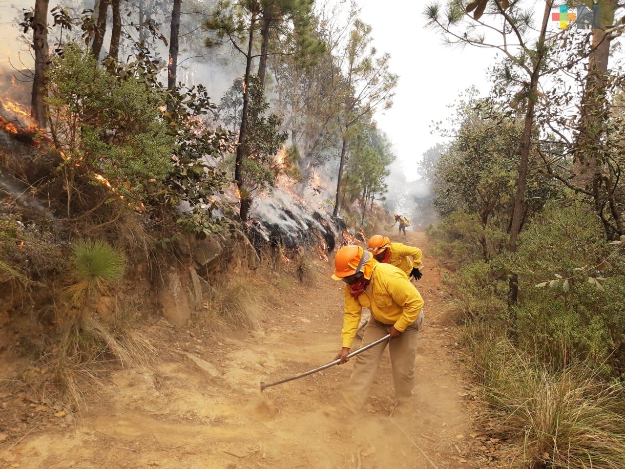 Ubicadas las personas que provocaron incendio en el Cofre de Perote: Cuitláhuac García