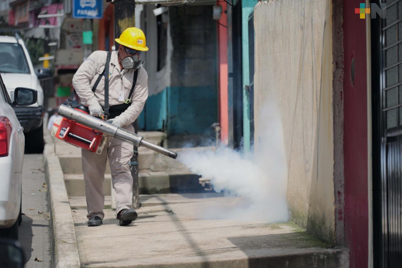 Ayuntamiento de Catemaco continúa acciones de limpieza, fumigación y descacharrización