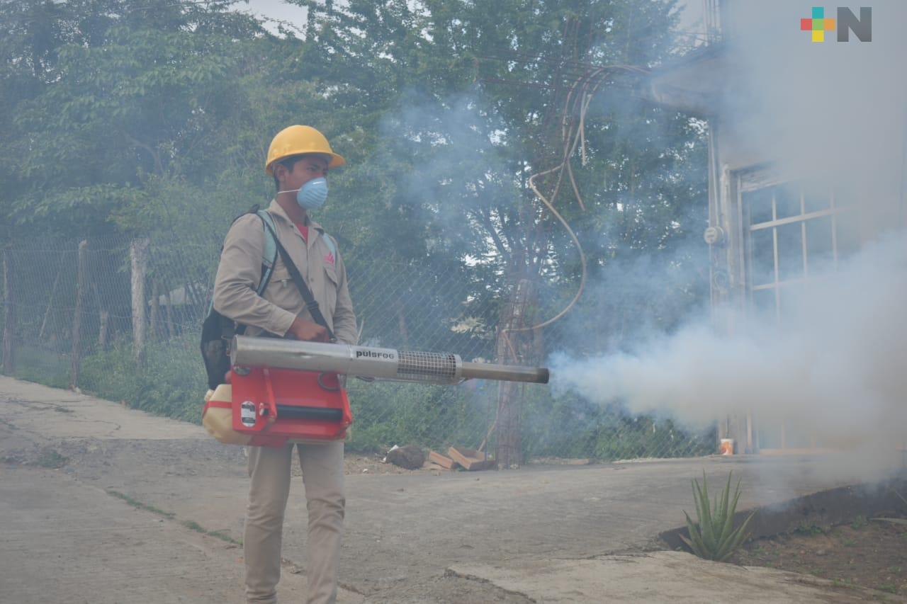 Hay 11 probables casos de dengue en Tantoyuca