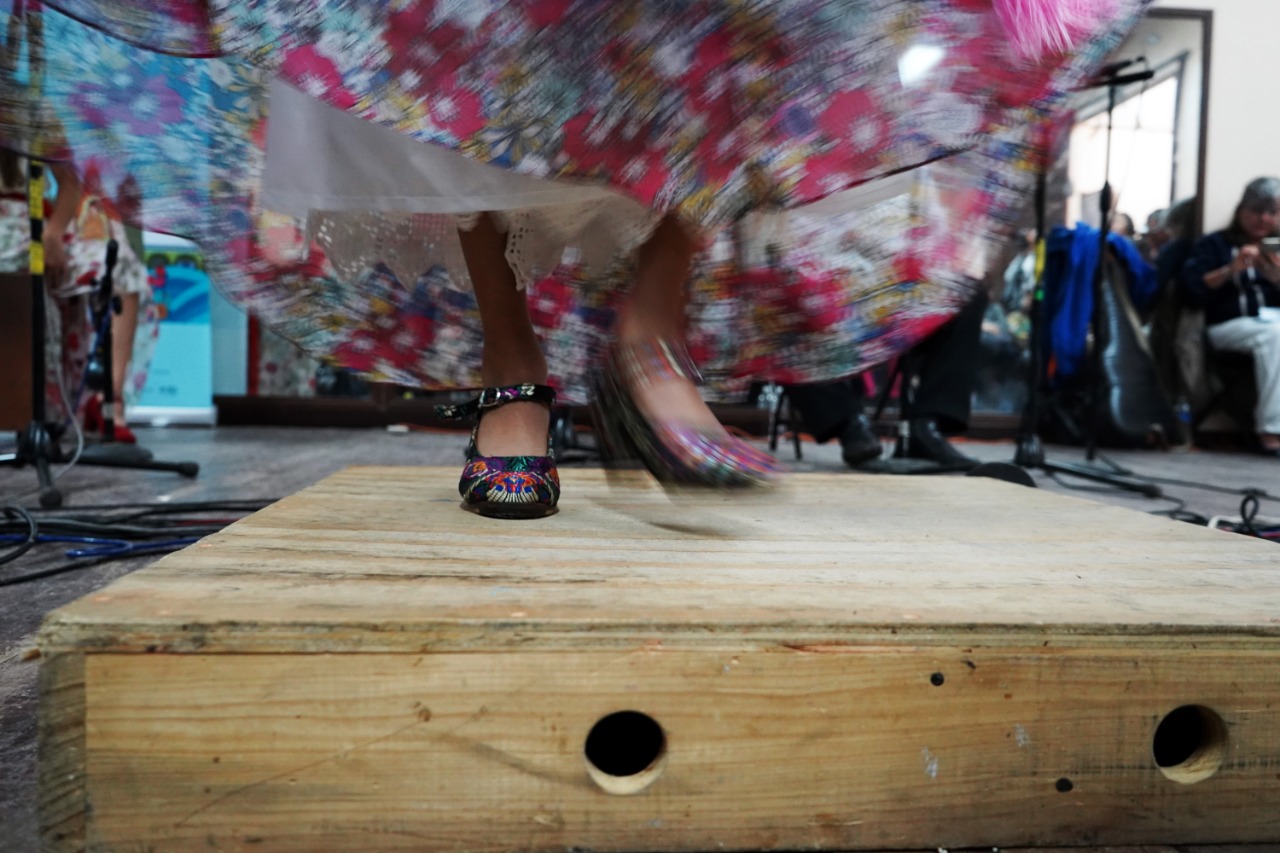 Exitosa segunda jornada del Foro Cultural del Sotavento del IVEC