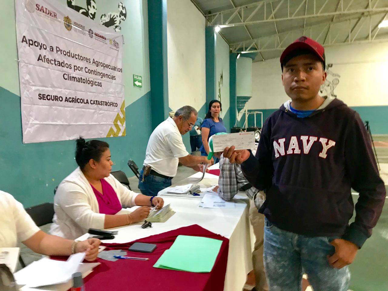 Pagará Sedarpa más de 33 mdp por seguro catastrófico a productores de naranja