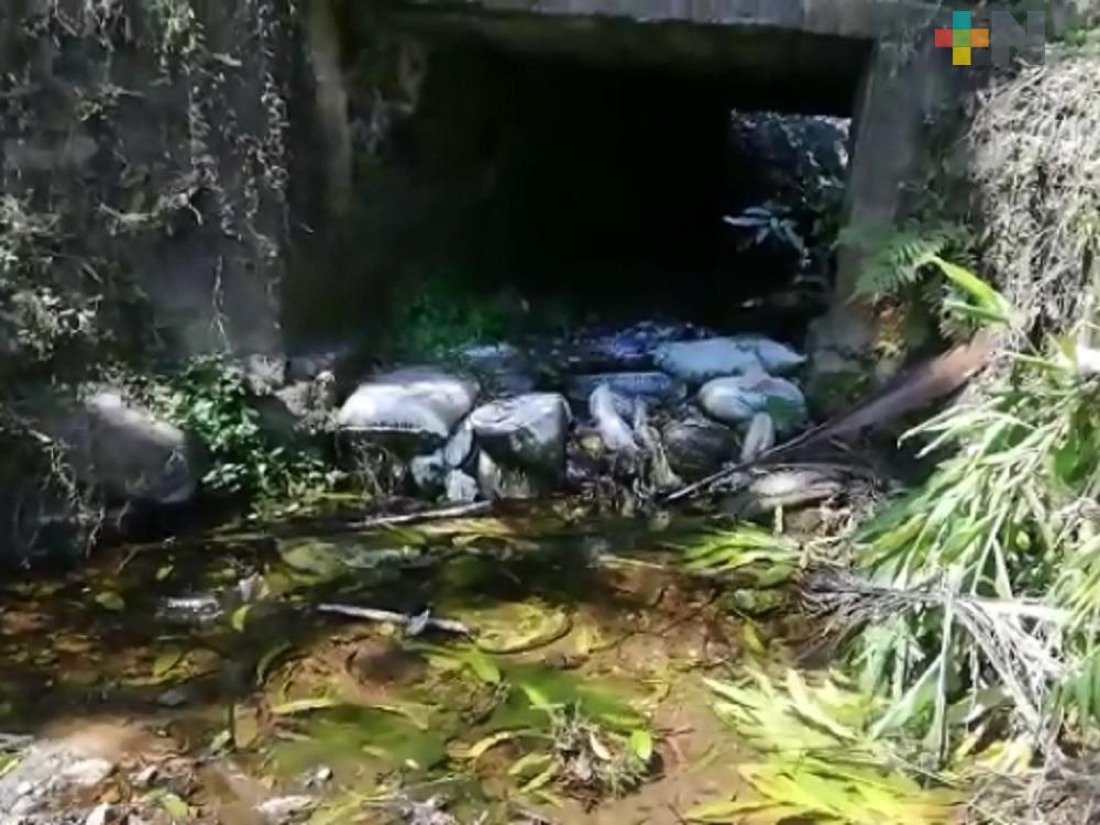 A punto de secarse manantial del municipio del Naranjal