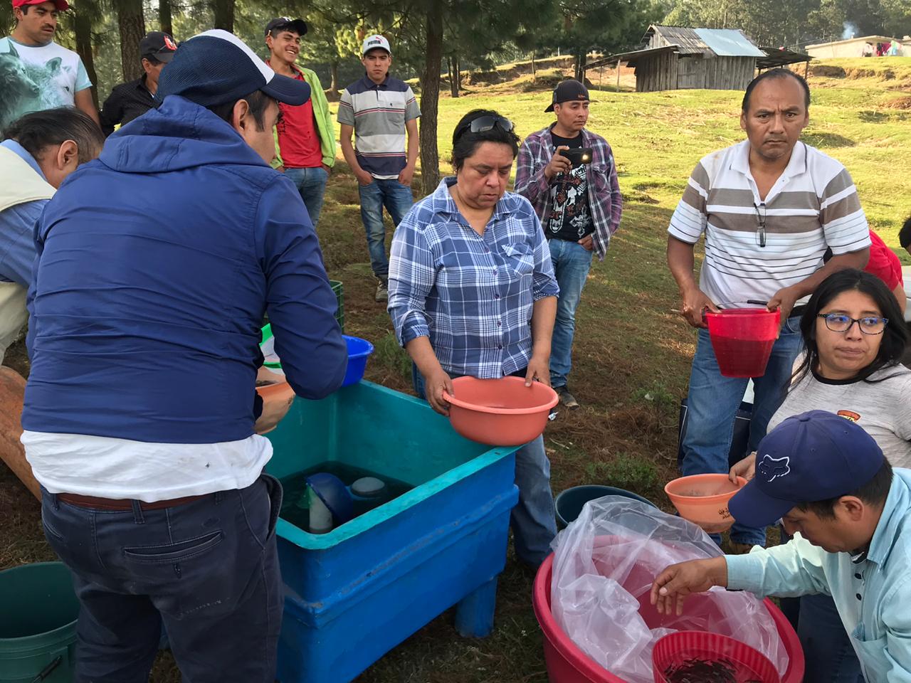 Reciben acuacultores de la región centro, más de 100 mil crías de trucha