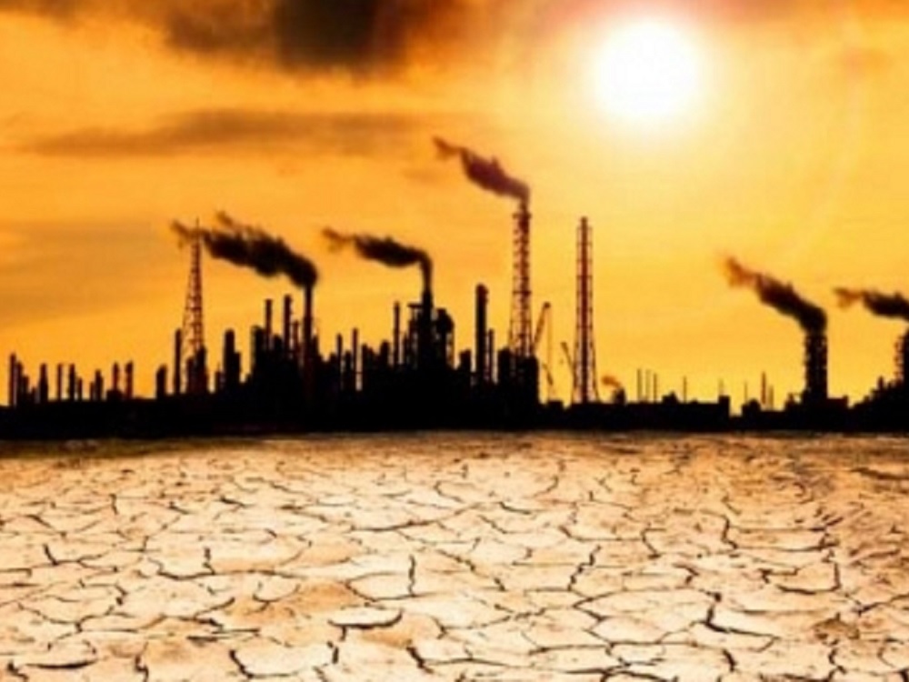 Aumenta mortalidad animal a causa del estrés por calor