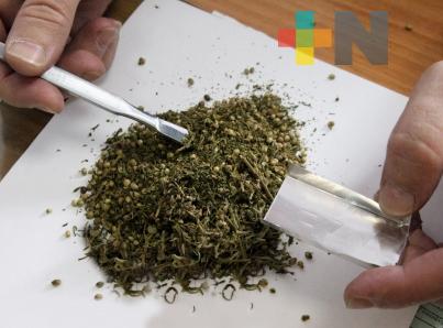 Analizan repercusiones de regulación y uso de cannabis