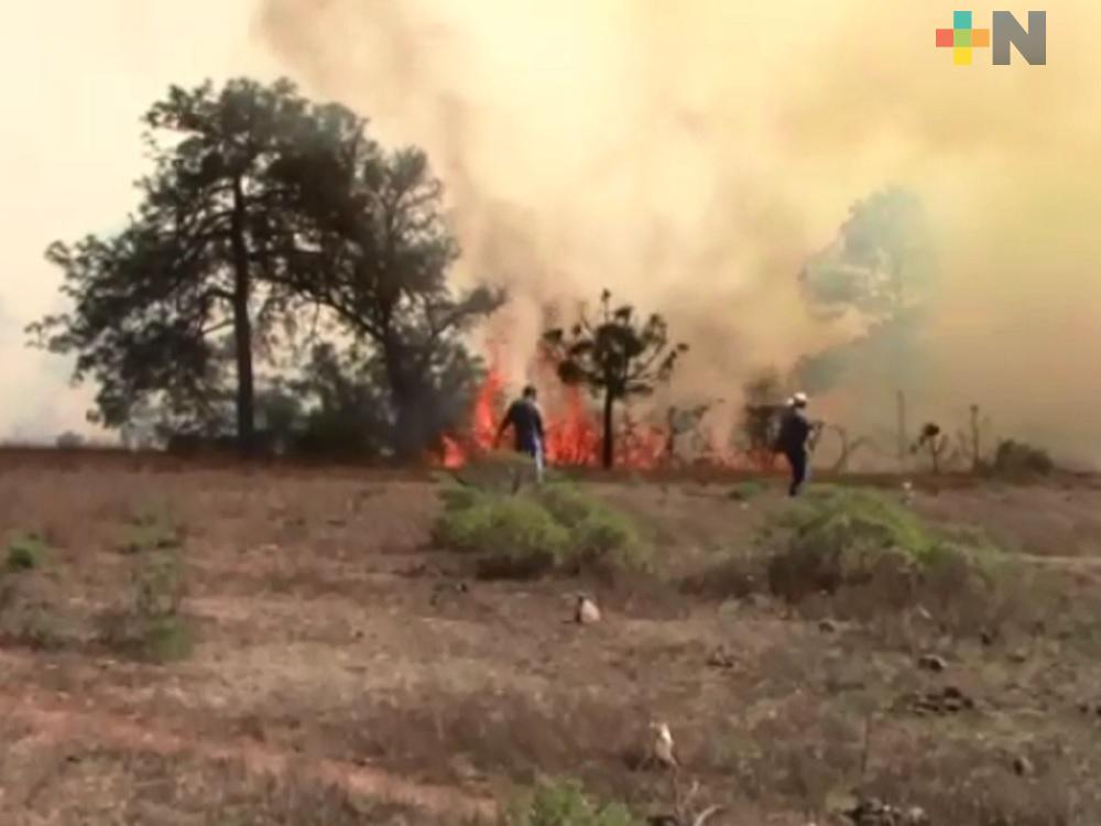 En Veracruz se registran alrededor de 3 mil 318 hectáreas afectadas por 88 incendios forestales: Conafor