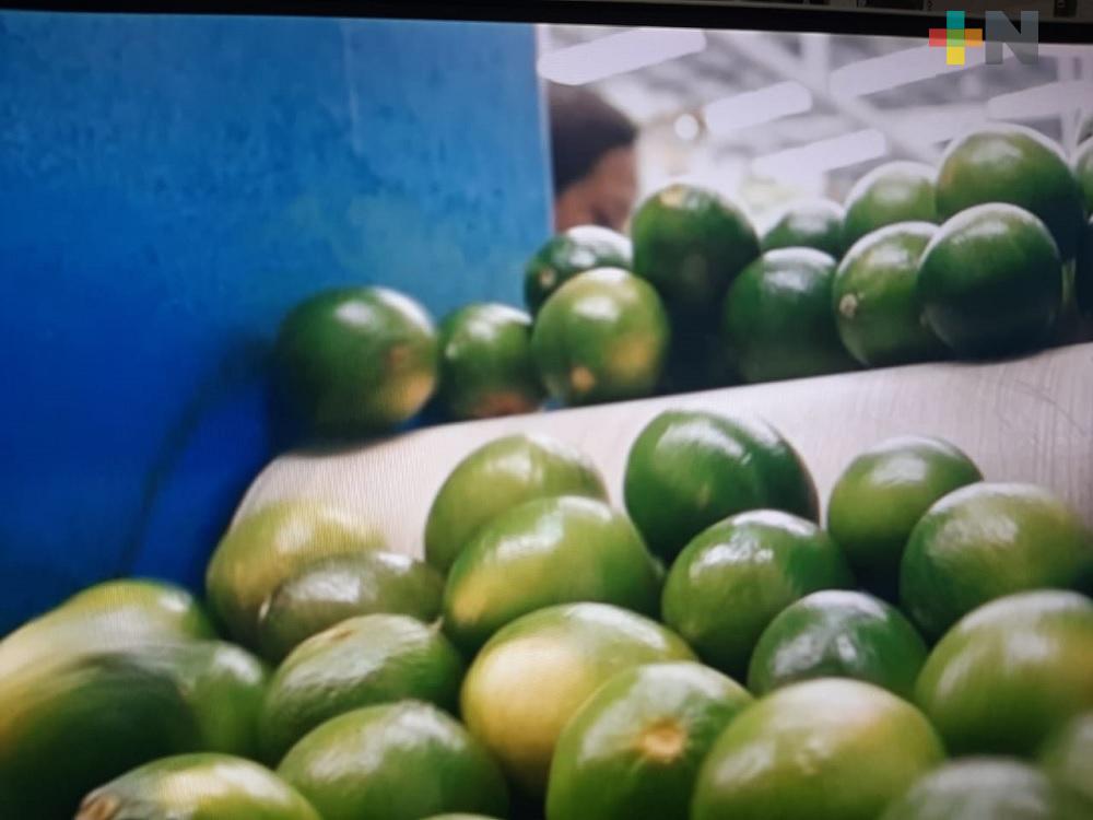 Incrementa precio y robo de limón en Martínez de la Torre