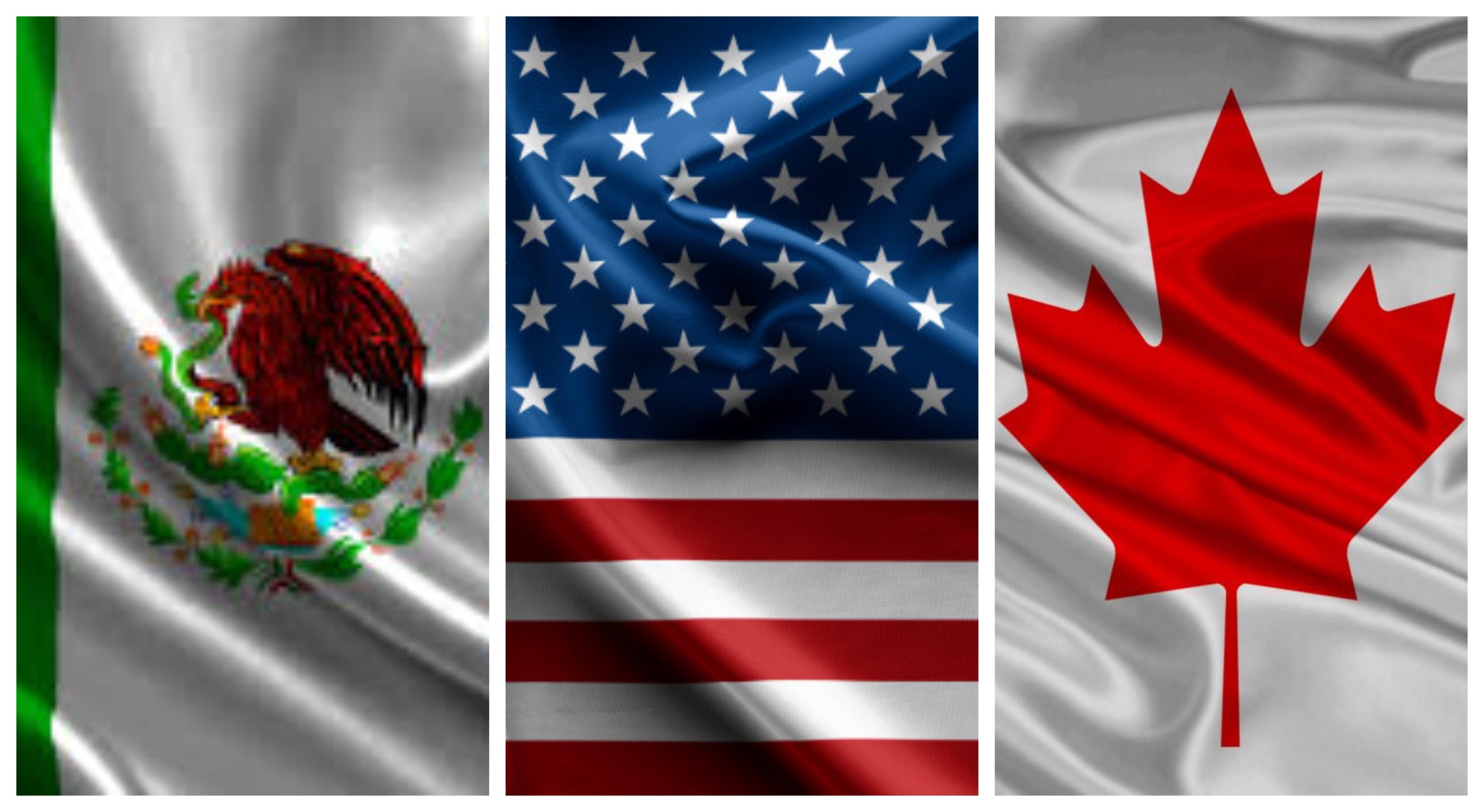 México, EUA y Canadá analizarán tema del coronavirus la próxima semana