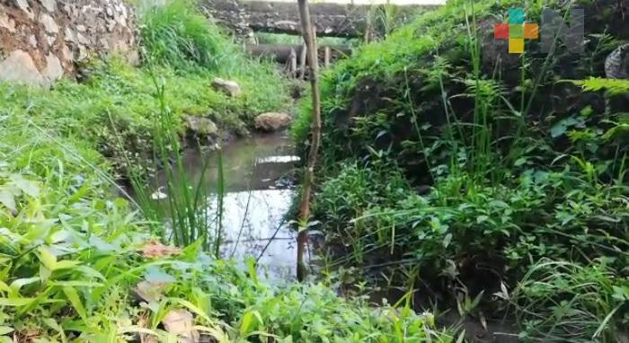 Sequía del manantial de El Tule afecta a  20 localidades y colonias de Amatlán