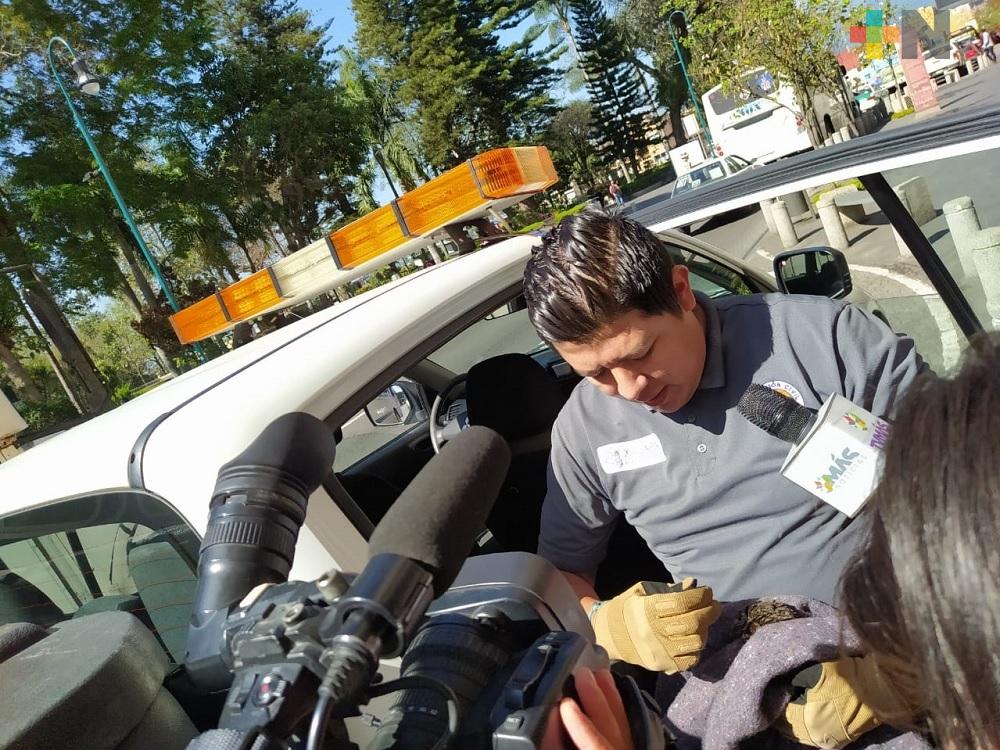 PC Xalapa rescata cría de búho