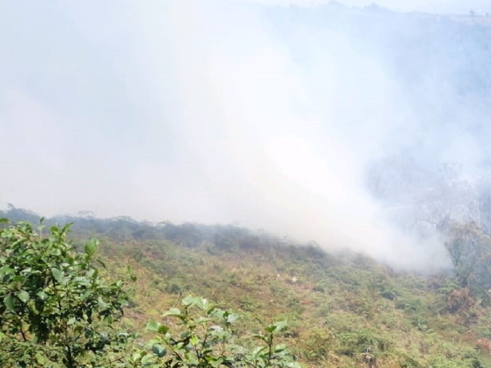 Exhorta Protección Civil a población a no hacer quemas agrícolas; continúan incendios forestales en Veracruz