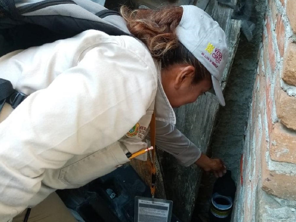 Refuerza Secretaría de Salud cruzada contra el dengue
