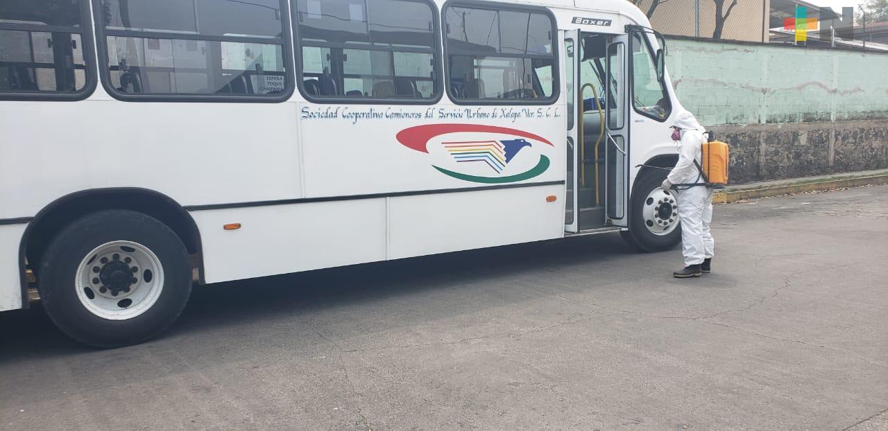 Durante vacaciones no disminuyen corridas en servicio urbano de Xalapa