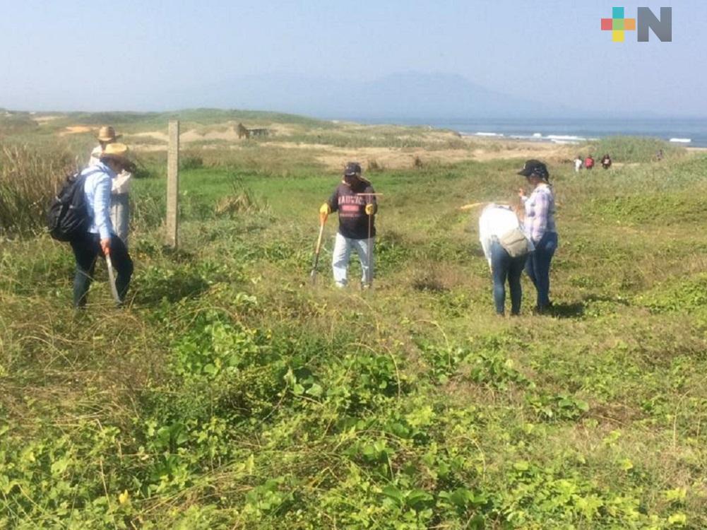 Pese a pandemia, colectivos de búsqueda de personas no detienen su labor