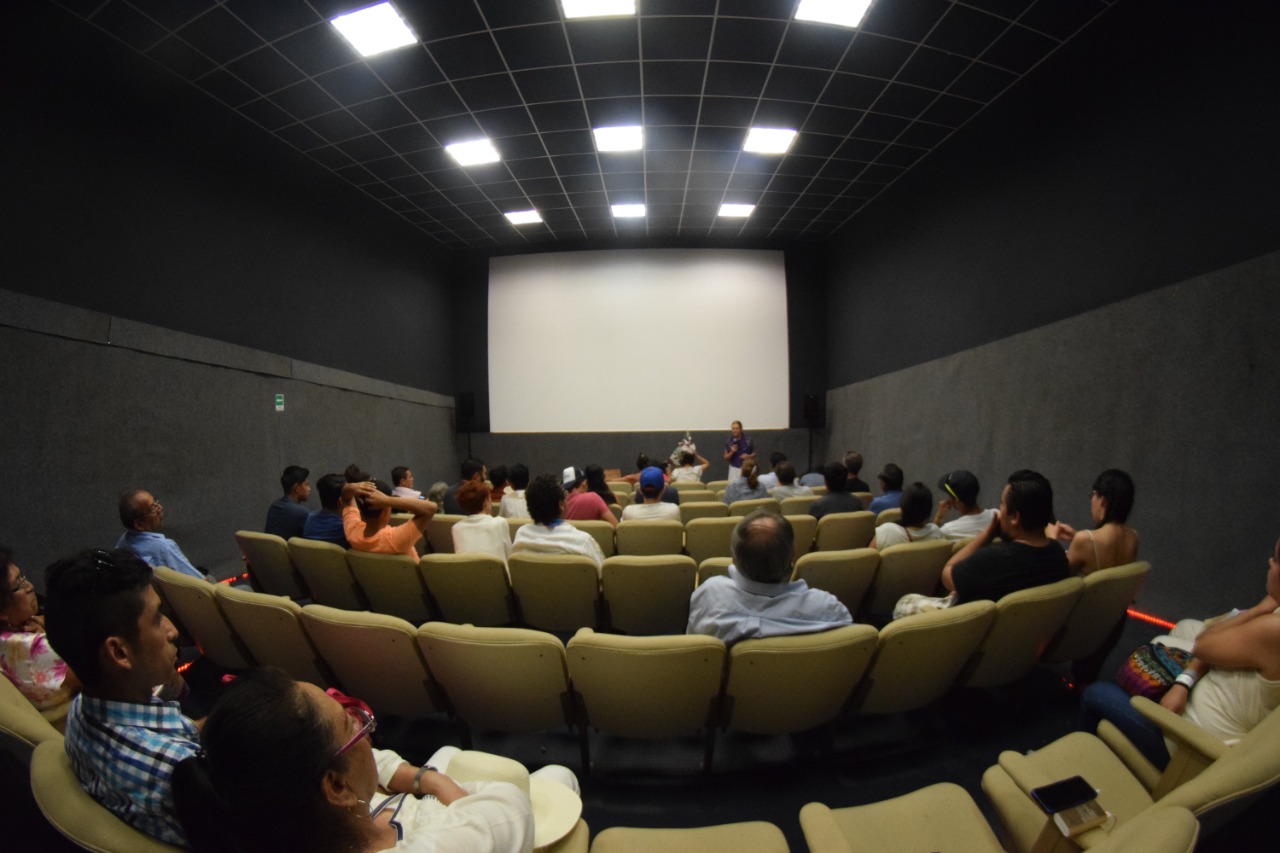 Durante Cumbre Tajín, Muestra de Cine “Veracruz me llena de orgullo”, exhibirá más de 60 títulos