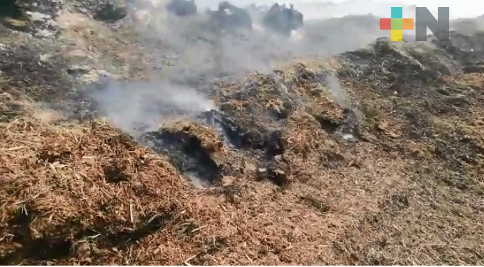 Llaman a evitar quema de pastizales en Fortín
