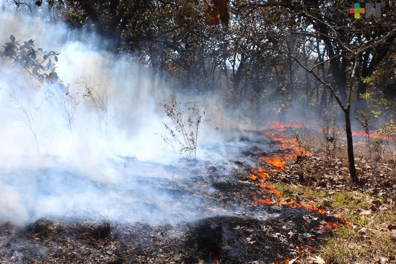 Controlan incendio forestal en Huayacocotla