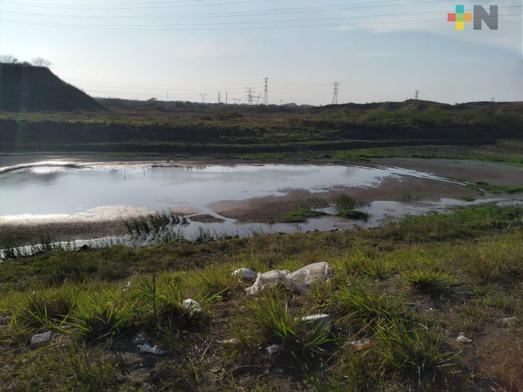 Falta de mantenimiento del Ayuntamiento de Veracruz seca la laguna Las Conchas