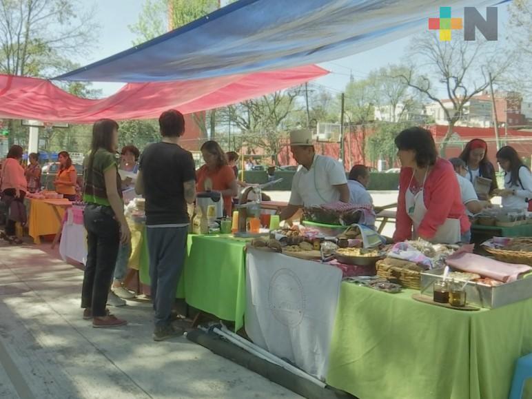 Cosustenta organiza tianguis agroecológico en Xalapa