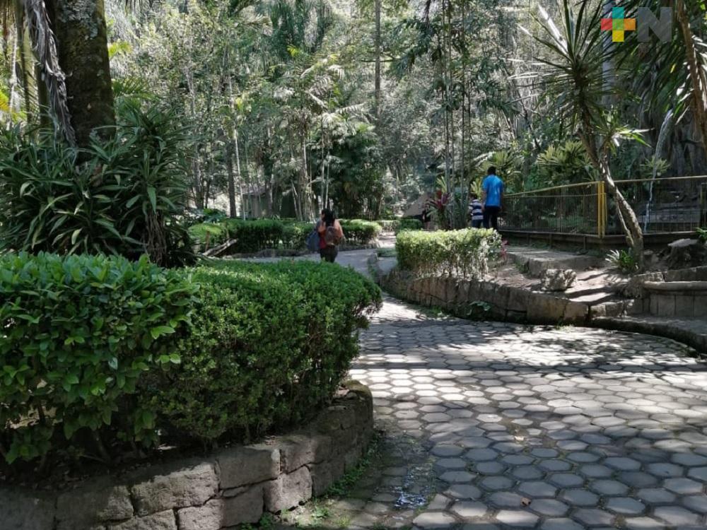 Reabrirán parques públicos de Xalapa, con protocolos de acceso y medidas sanitarias