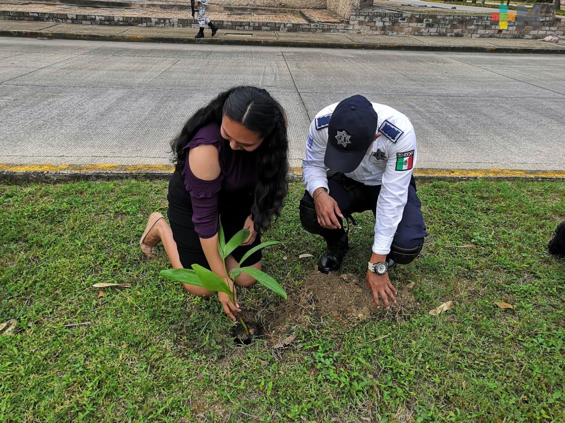 Mujeres sembraron árboles en Coatzacoalcos