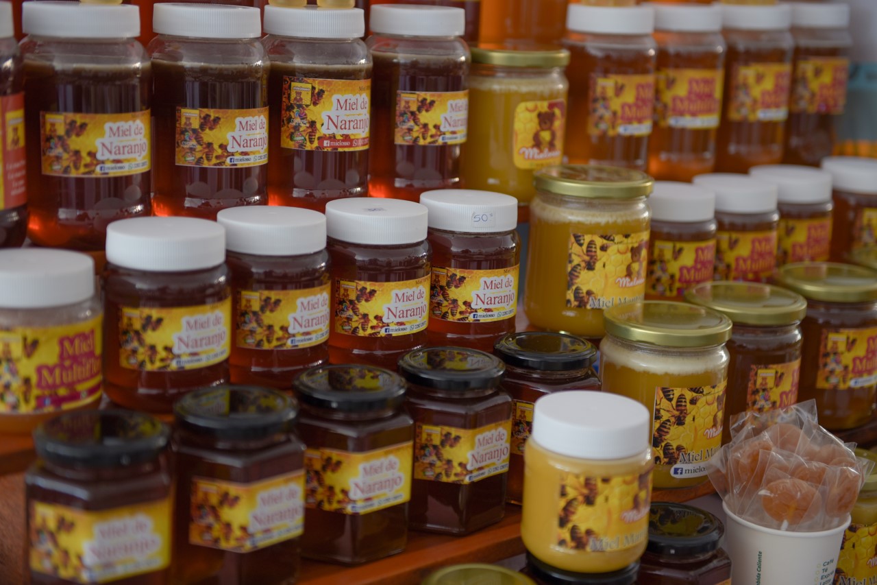 Producción e industrialización de miel orgánica, una realidad de apícolas xalapeños