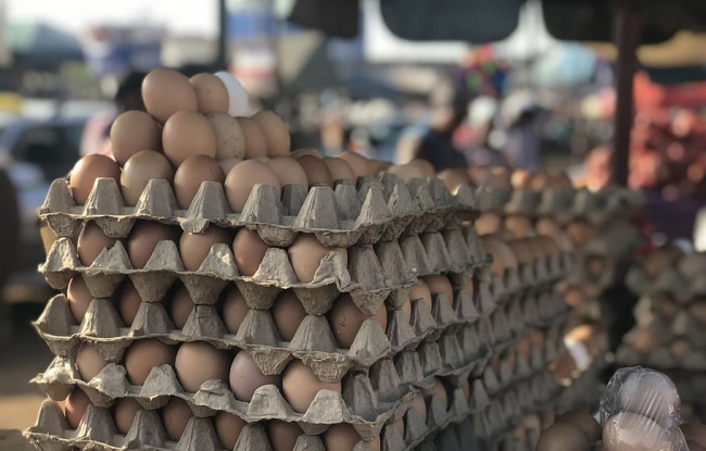 Monitorea Profeco precio del huevo y de otros productos de la canasta referencial