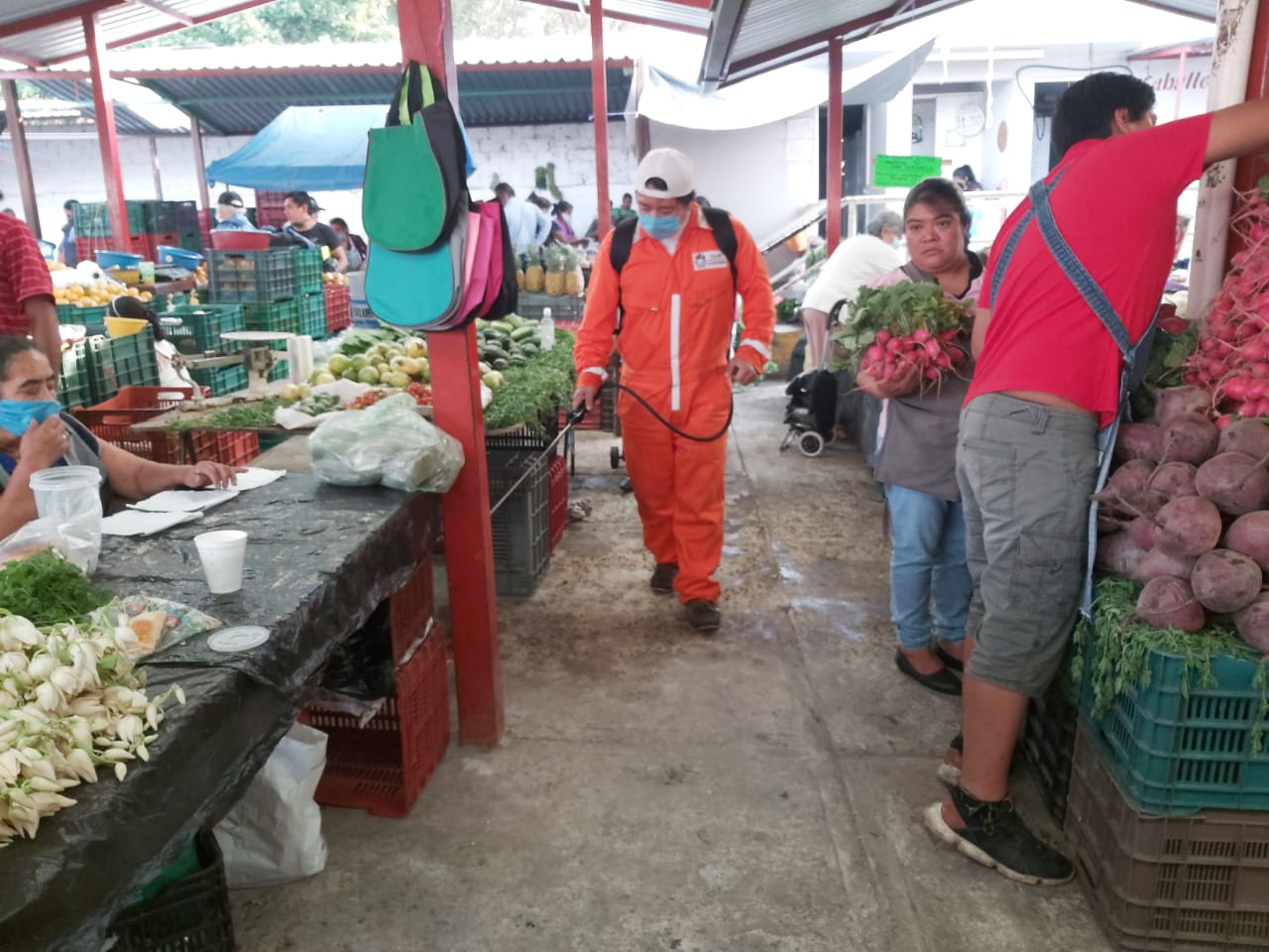 Continuarán con sanitización de tianguis de Xalapa, además de colocar lavamanos