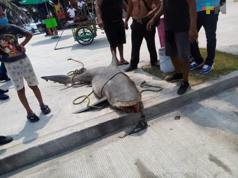 Ayuntamiento de Veracruz levanta acta por pesca ilegal en Playa Villa del Mar