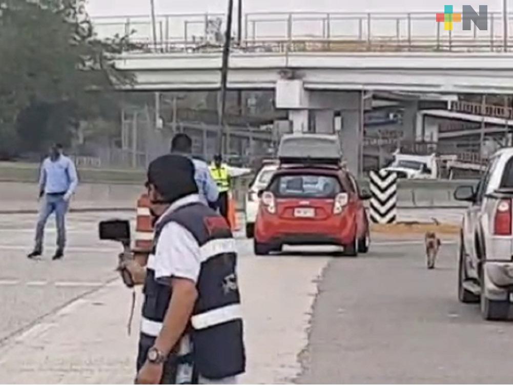 Turistas agreden verbalmente a autoridades tuxpeñas por frenar ingreso al puerto