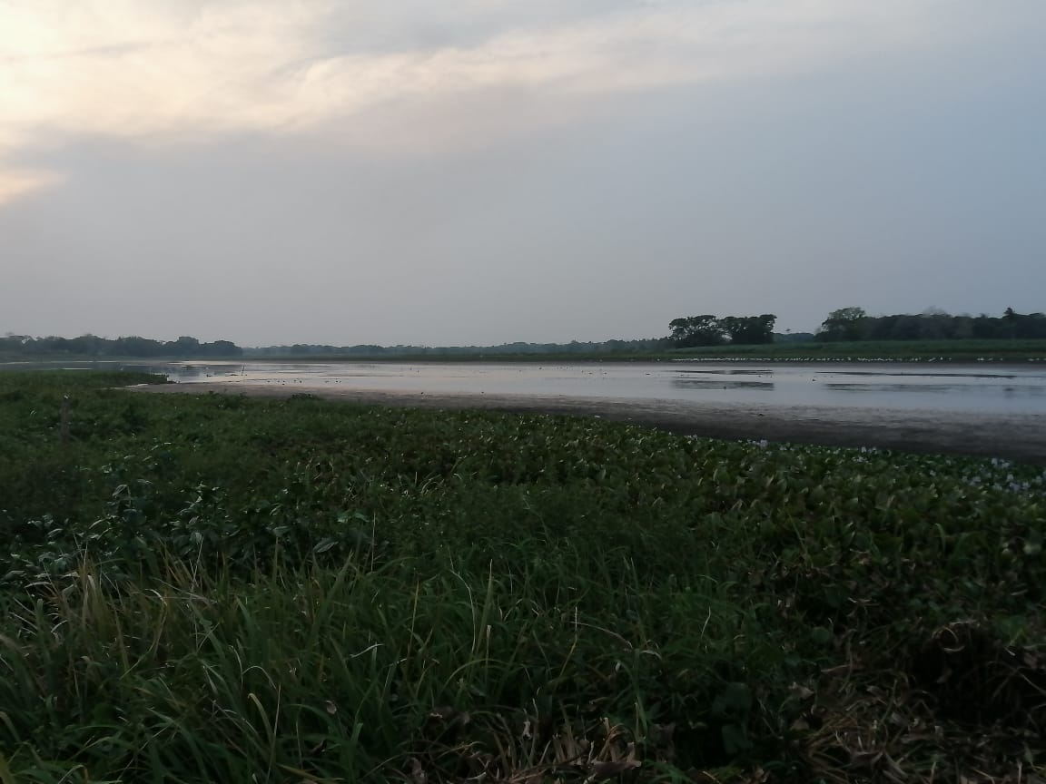 Limpian La Laguna, en Nogales