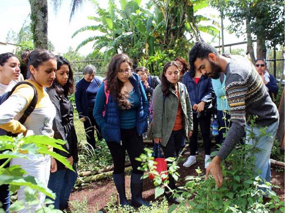 CoSustenta UV crea grupos de apoyo para producir alimentos en casa