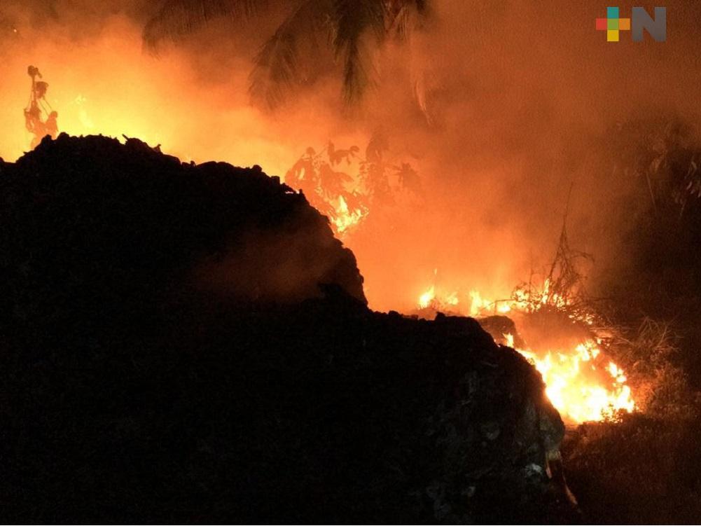 Se registran diez incendios forestales en la entidad veracruzana: Conafor