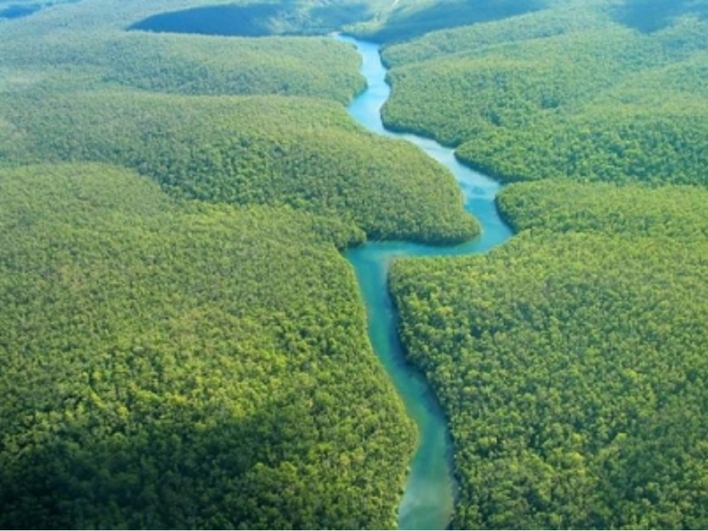 Derrame de petróleo podría llegar a Amazonía peruana en próximas horas