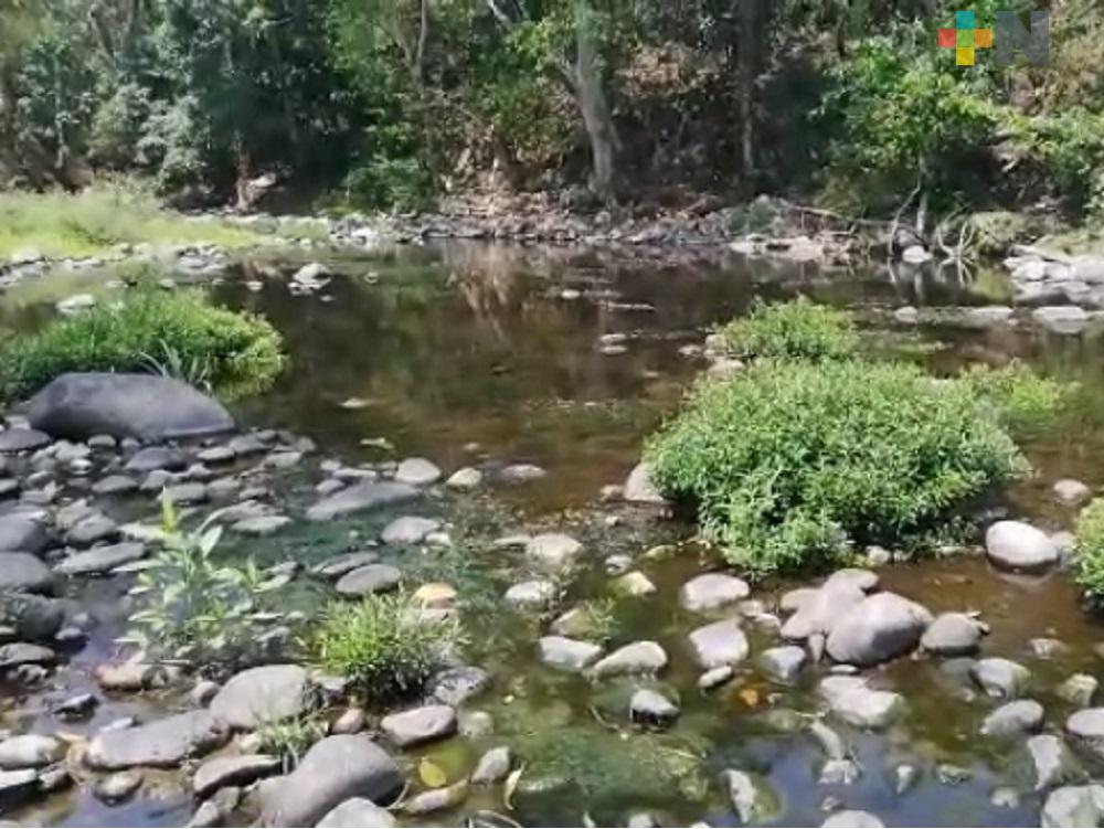 A infancias preocupa escasez de agua, la basura y contaminación: docentes