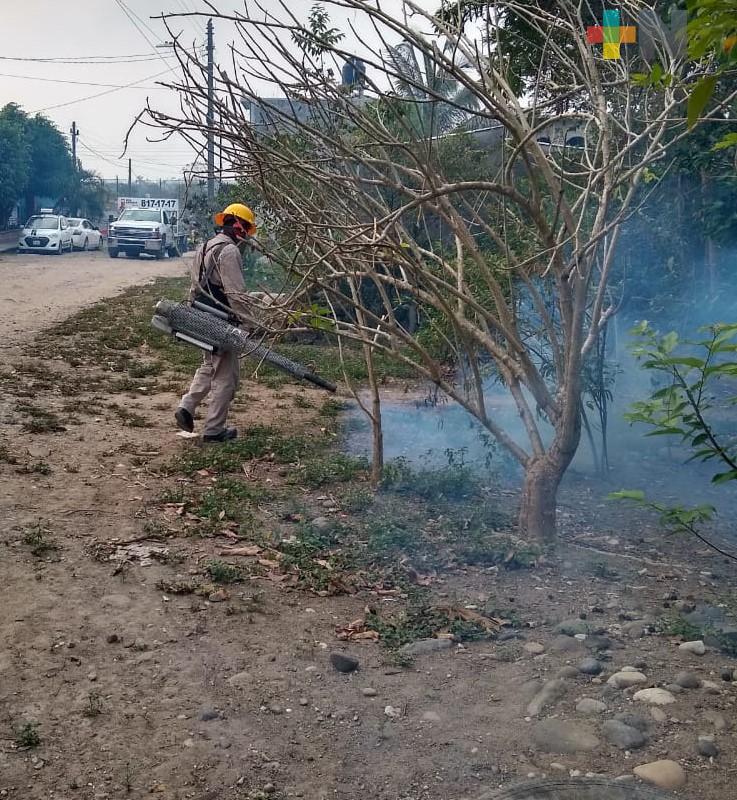 Secretaría de Salud no baja la guardia en el combate contra el dengue