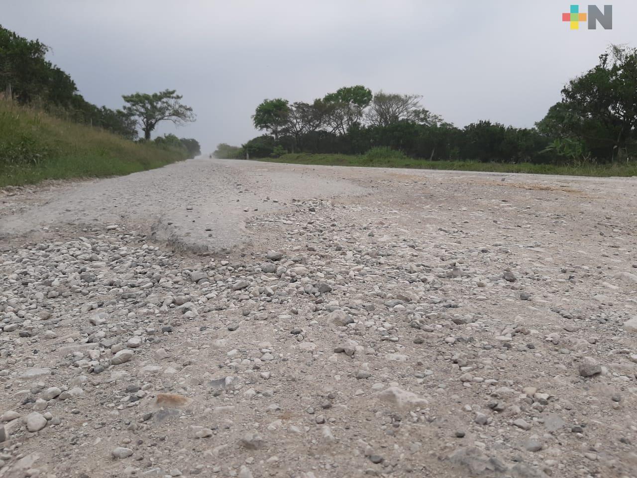 Mal estado de la carretera El Cadillo-La Palma afecta a citricultores
