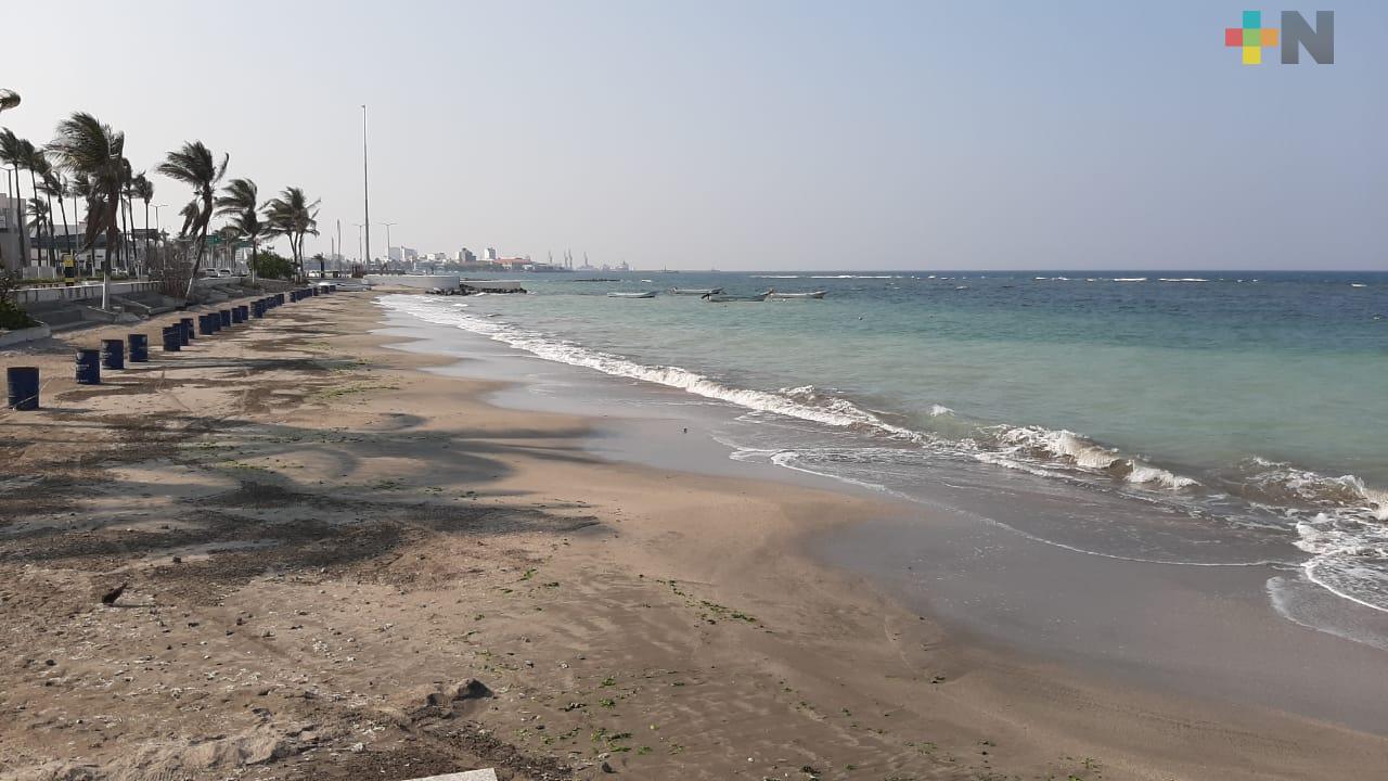 Playa Martí se vuelve turquesa