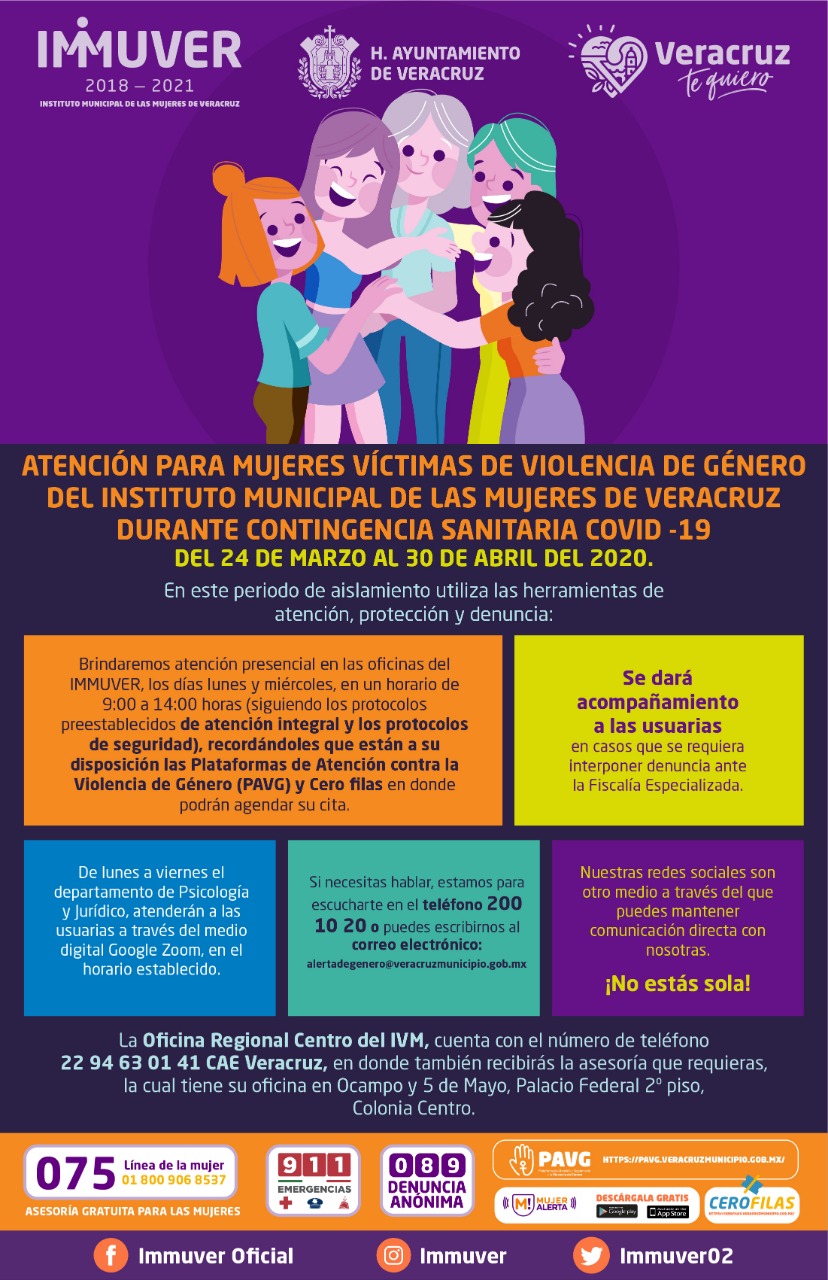 Aumentan denuncias por violencia física en Veracruz durante cuarentena: Immuver