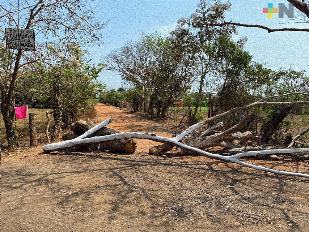 Para evitar entrada de turistas, colocan troncos en entrada de comunidad de Mecayapan
