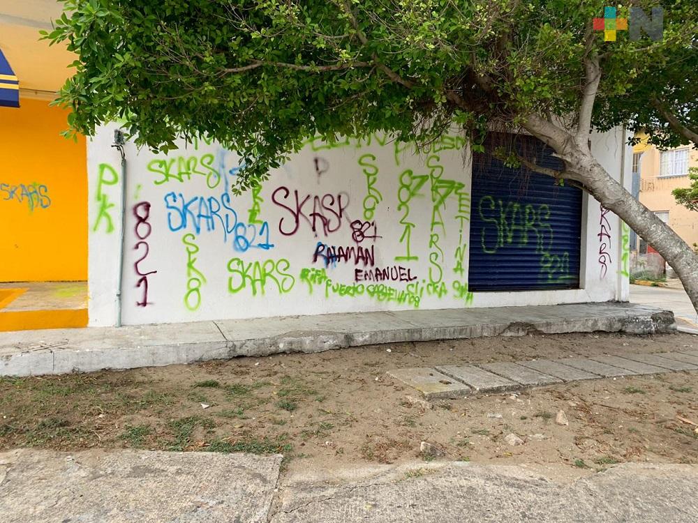 Paredes y autos grafiteados en fraccionamiento de Coatzacoalcos