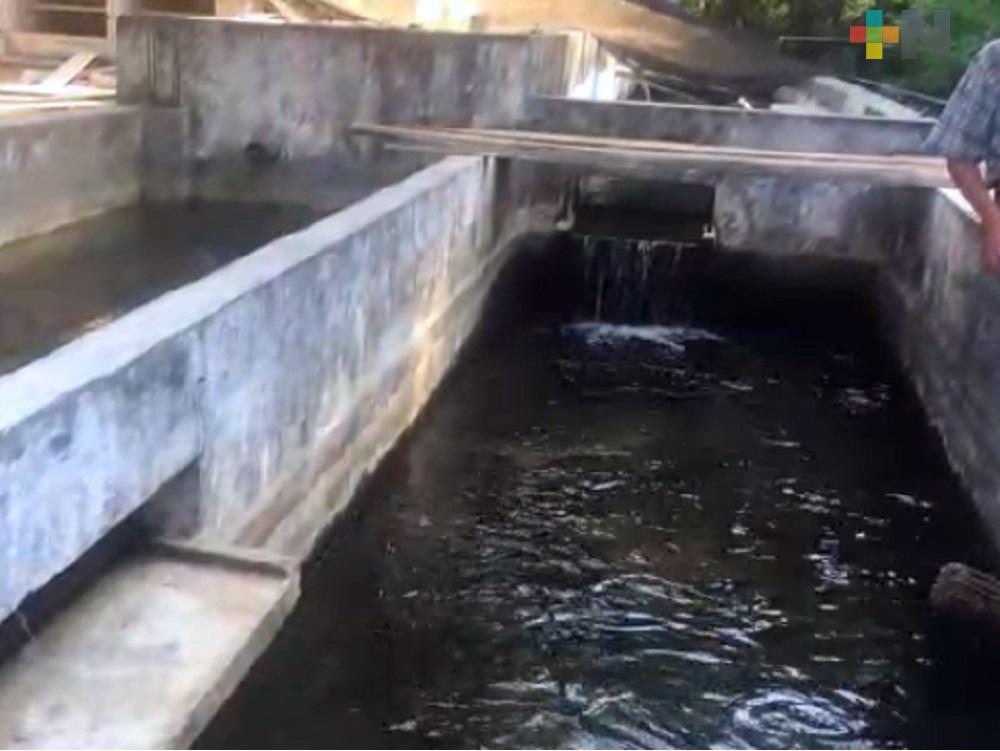 Sedarpa fortalece actividades acuícolas en Huayacocotla