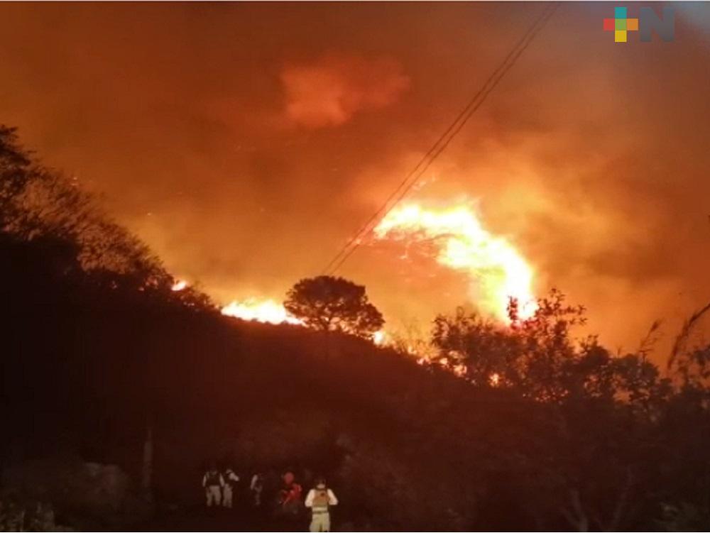 En Veracruz, incendios ha afectado más de tres mil hectáreas: Conafor