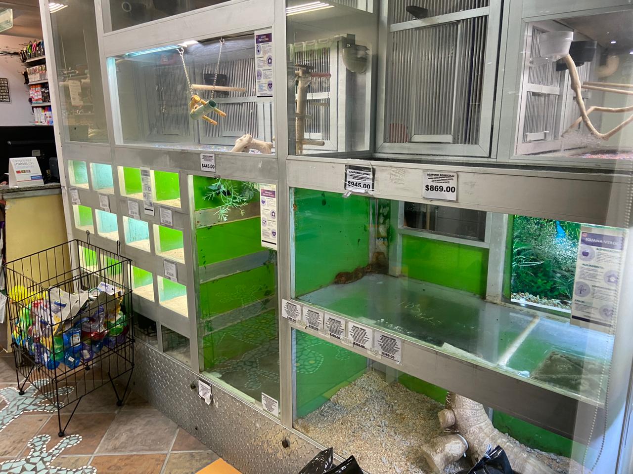 Tienda de mascotas en Boca del Río podría ser clausurada: PMA